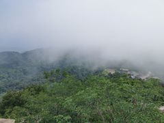 -鲁山国家森林公园