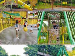 -佛冈森波拉度假区