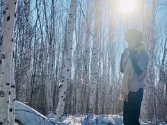 -乌兰布统景区-白桦林