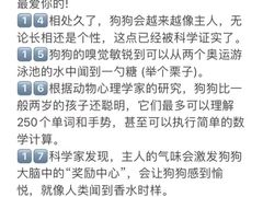 -宠爱国际动物医院· 猫科· 外科·中兽医(长白店)