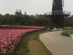 -上海鲜花港