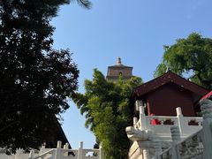 -大慈恩寺(大雁塔)
