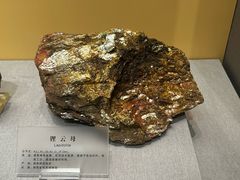 -湖南省地质博物馆