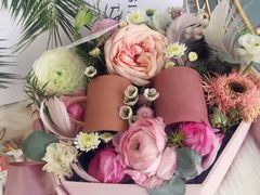 -蝶舍·MAISON PAPILLON