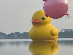 -深圳人才公园