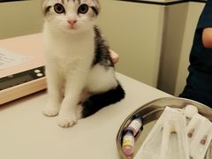 -爱诺耐芙动物医院(万博店)