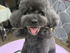 -爱派特动物医院·全科诊疗中心