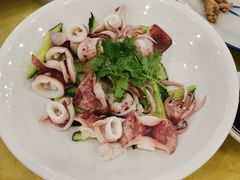 烧鱿鱼-姚林轩