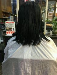 -SEMO西木形象