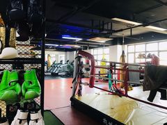 -杭州拳界搏击俱乐部
