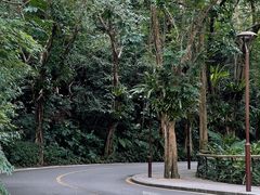 -深圳仙湖植物园