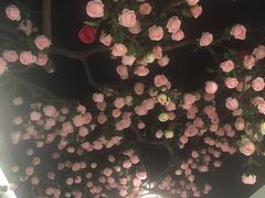 -韵秋荷(宝山龙湖天街店)