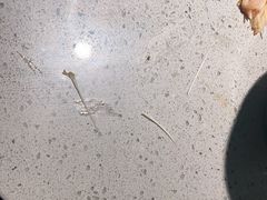 -半天妖烤鱼(丰科万达店)