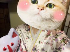 -Mr.Fox狐狸先生超级密室(南山店)