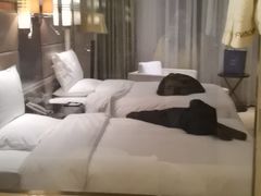 -西宁福茵长乐国际大酒店