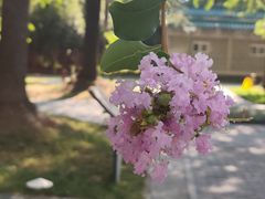 -荆州博物馆