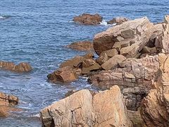 -小麦岛公园