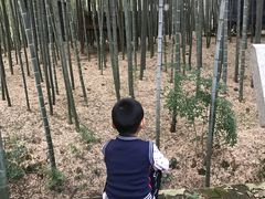 -宝岩生态观光园