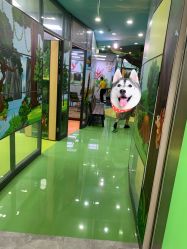-未来动物城动物主题公园(大悦城店)