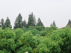-浙江大学(玉泉校区)