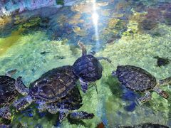 -福州罗源湾海洋世界旅游区
