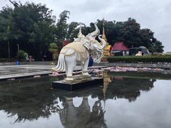 -西双版纳勐泐文化旅游区