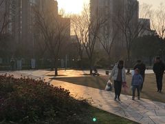 -新江湾城公园