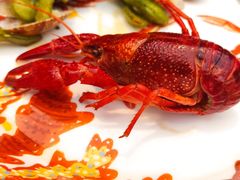 -霸王虾·麻辣小龙虾(清水河公园店)