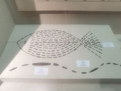 -巴音郭楞蒙古自治州博物馆