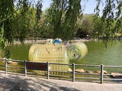 -莲湖公园