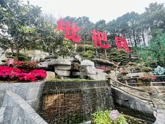 -枇杷园食为鲜火锅(南山店)