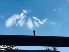 -糖房咖啡(南锣鼓巷店)