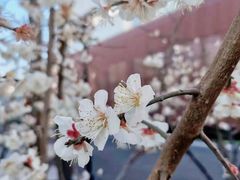 -上海吴淞炮台湾国家湿地公园
