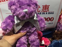 -济州岛泰迪熊博物馆