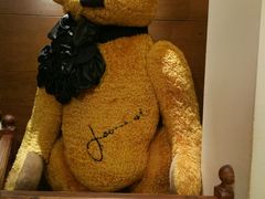 -济州岛泰迪熊博物馆