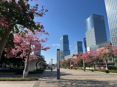 -佛山京华广场MALL