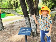 -厦门悦华酒店