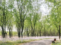 -东郊湿地公园