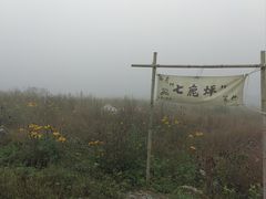 -武陵山森林公园