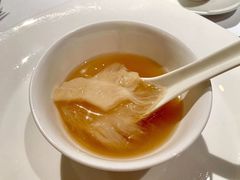 -新同乐鱼翅酒家(美丽华店)