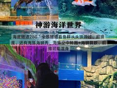 -威海华夏城景区
