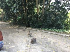 -伊岭岩风景区