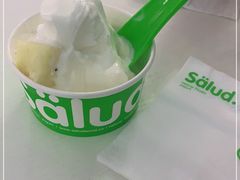 -Salud撒露欧洲冻酸奶(798艺术区店)