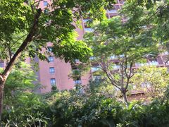 -三亚湾红树林度假酒店美食街