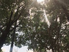 -大卡司DAKASI(信和广场店)