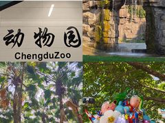 -成都动物园