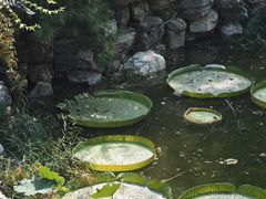 -莲池书院博物馆