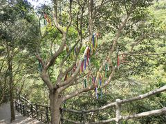 -宁波五龙潭景区