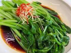 广东菜心-枣子树·素食餐厅(普陀山店)