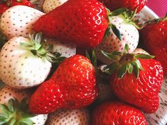 -GranVida生活超市(海信广场店)